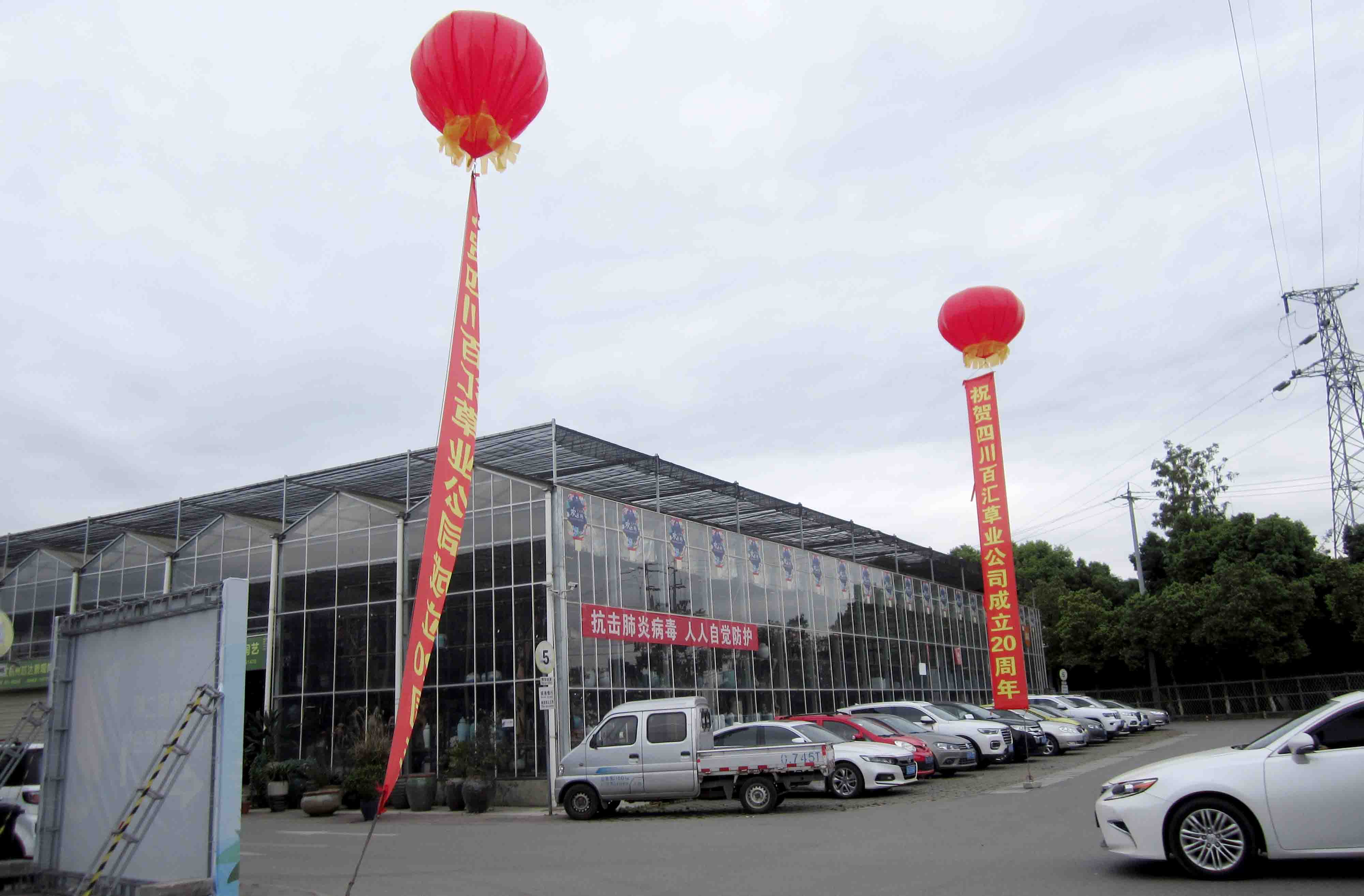 四川格?；ǚN子